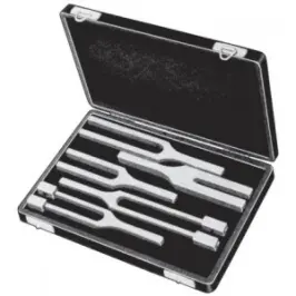 Diapozon Seti 5'li - 